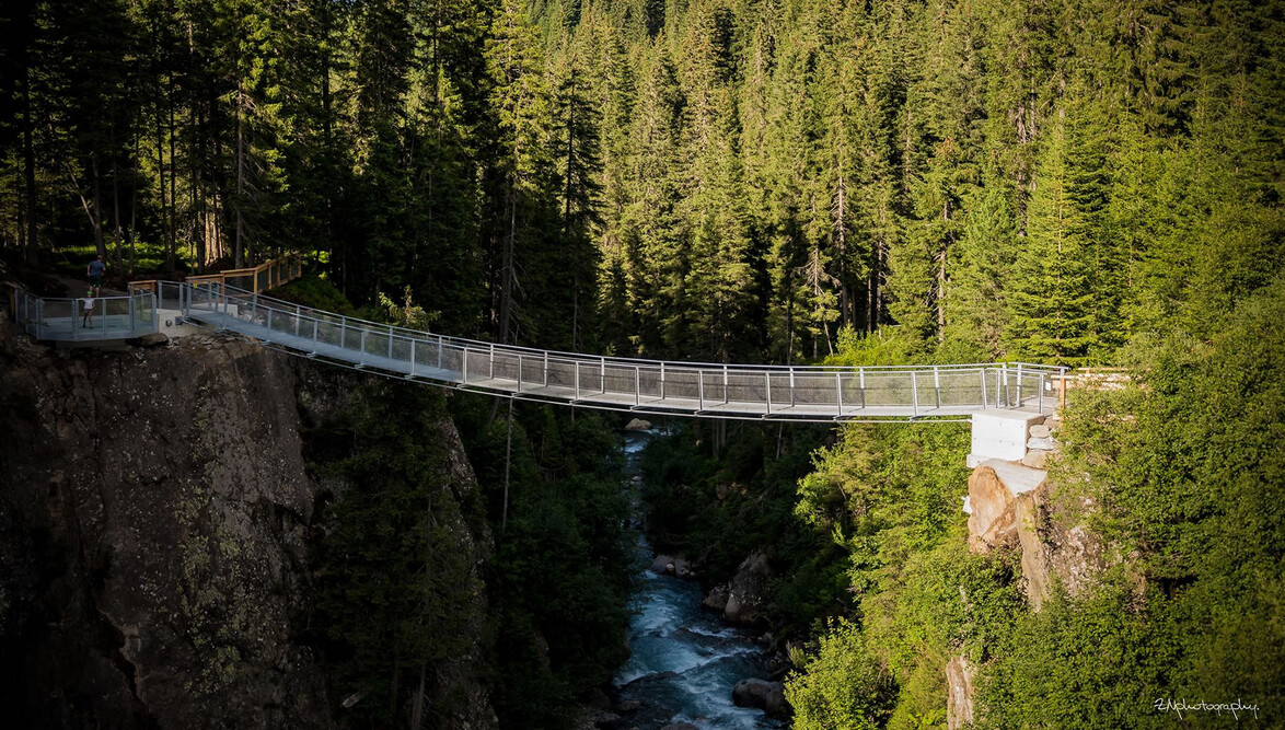 Stahlseilbrücke über Schlucht im Waldgebiet / Suspension bridge over gorge in forest area