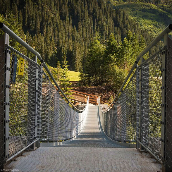 A sturdy metal suspension bridge crosses the forest, framed by meadows and dense evergreen woods.