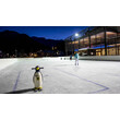 Kinder lernen mit Pinguin-Lernhilfen auf einer abendlichen Kunsteisbahn das Schlittschuhlaufen / Children learn to skate with penguin aids on an evening ice rink