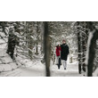 Paar spaziert durch einen verschneiten, ruhigen Waldpfad im Winter / Couple walks through a snow-covered, peaceful forest trail in winter