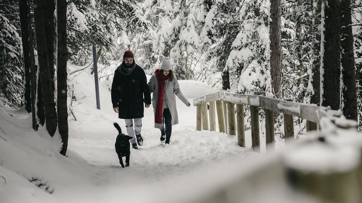 Paar mit Hund spaziert durch verschneiten Waldweg mit Holzgeländer / Couple with dog walks along snowy forest path with wooden railing