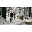 Paar mit Hund spaziert durch verschneiten Waldweg mit Holzgeländer / Couple with dog walks along snowy forest path with wooden railing