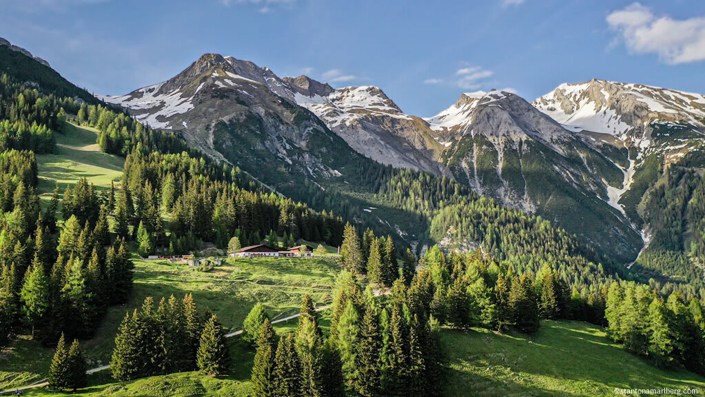 Nessler Alm im Pettneu am Arlberg | Panorama