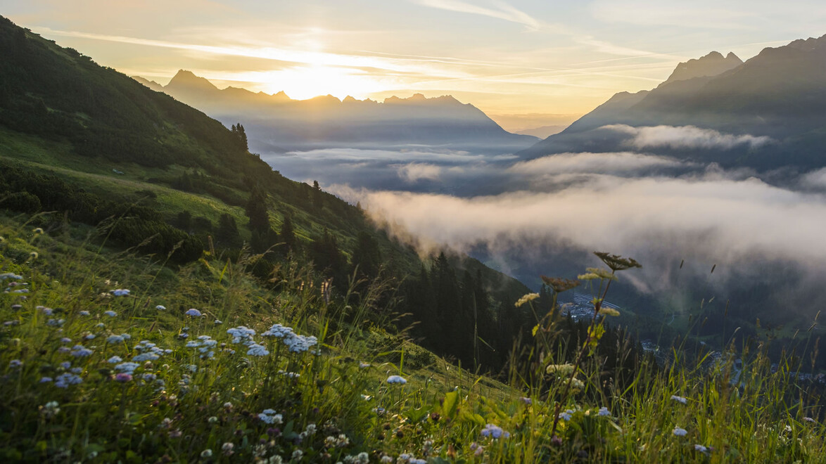 Sonnenaufgang über nebelverhülltem Tal mit blühender Bergwiese / Sunrise over a fog-covered valley with blooming mountain meadow