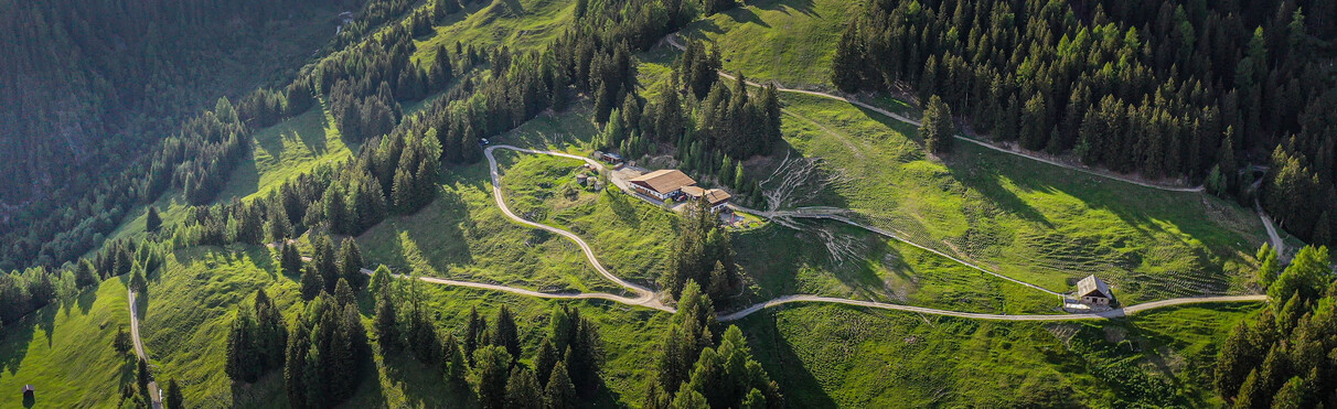 Aerial view of lush green alpine meadows and wooded slopes above. You can see two huts - the Nessler Alm and Alte Nessler Thaja and a winding forest path nestled between forest and meadows in the soft evening light.