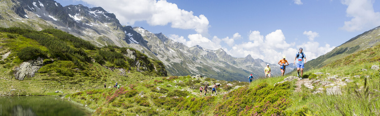 A group of trail runners on an alpine path through a green mountain landscape with rocks, flowers and views of high, snow-covered peaks.