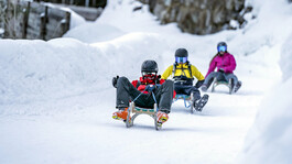 Три человека на санках в зимней сказке