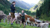 Ein Kind und ein Erwachsener stehen mit einem Viehtrieb auf einer Almwiese, im Hintergrund Berge und Hütten. / A child and an adult stand with livestock on an alpine meadow, with mountains and huts in the background.