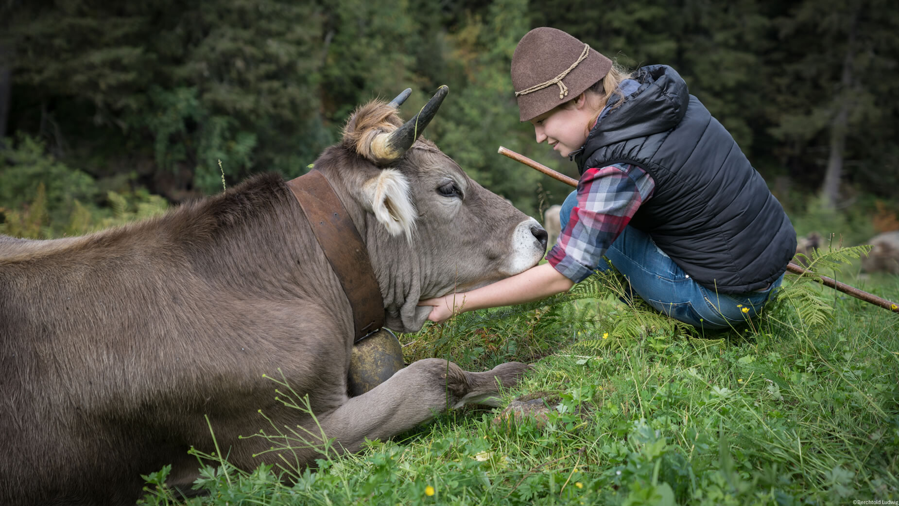 Ein Junge streichelt eine liegende Kuh auf der Wiese, ein Moment der Nähe zwischen Mensch und Tier. / A boy pets a lying cow on the meadow, a moment of closeness between human and animal.