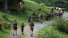 Mehrere Menschen in Tracht begleiten eine große Kuhherde über einen Almweg, Rückkehr von der Alm. / Several people in traditional dress accompany a large herd of cows on an alpine path, returning from the mountain.