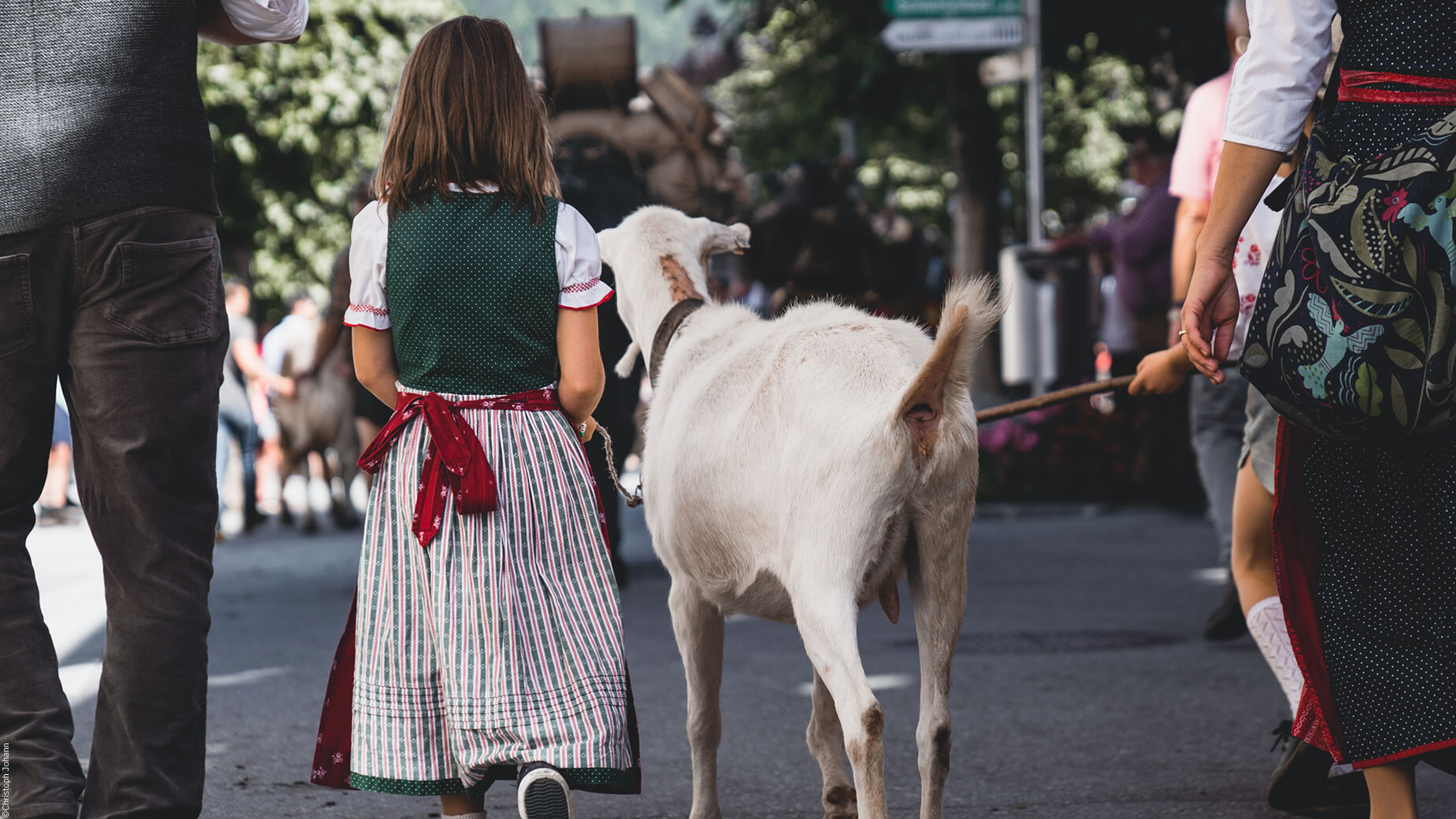 Ein Mädchen im Dirndl führt eine weiße Ziege durch eine belebte Straße während eines traditionellen Umzugs. / A girl in a dirndl leads a white goat through a busy street during a traditional parade.