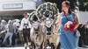 Almabtrieb mit Blumenschmuck / Cattle Drive with Flower Decorations Festlich geschmückte Kühe werden von einer Frau im Dirndl durch ein Dorf geführt, im Hintergrund viele Zuschauer. / Decorated cows are led through a village by a woman in a dirndl, with many spectators in the background.