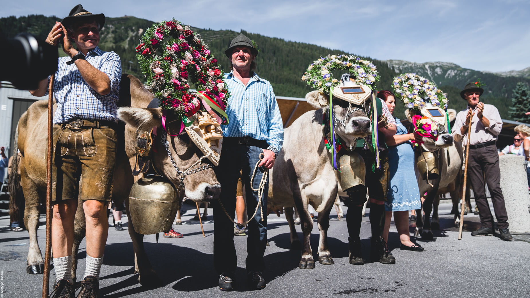 Mehrere festlich geschmückte Kühe stehen mit ihren Begleitpersonen vor einer Bergkulisse. / Several festively adorned cows stand with their handlers in front of a mountain backdrop.