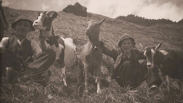 Zwei Personen sitzen mit drei Ziegen auf einer Wiese am Hang.