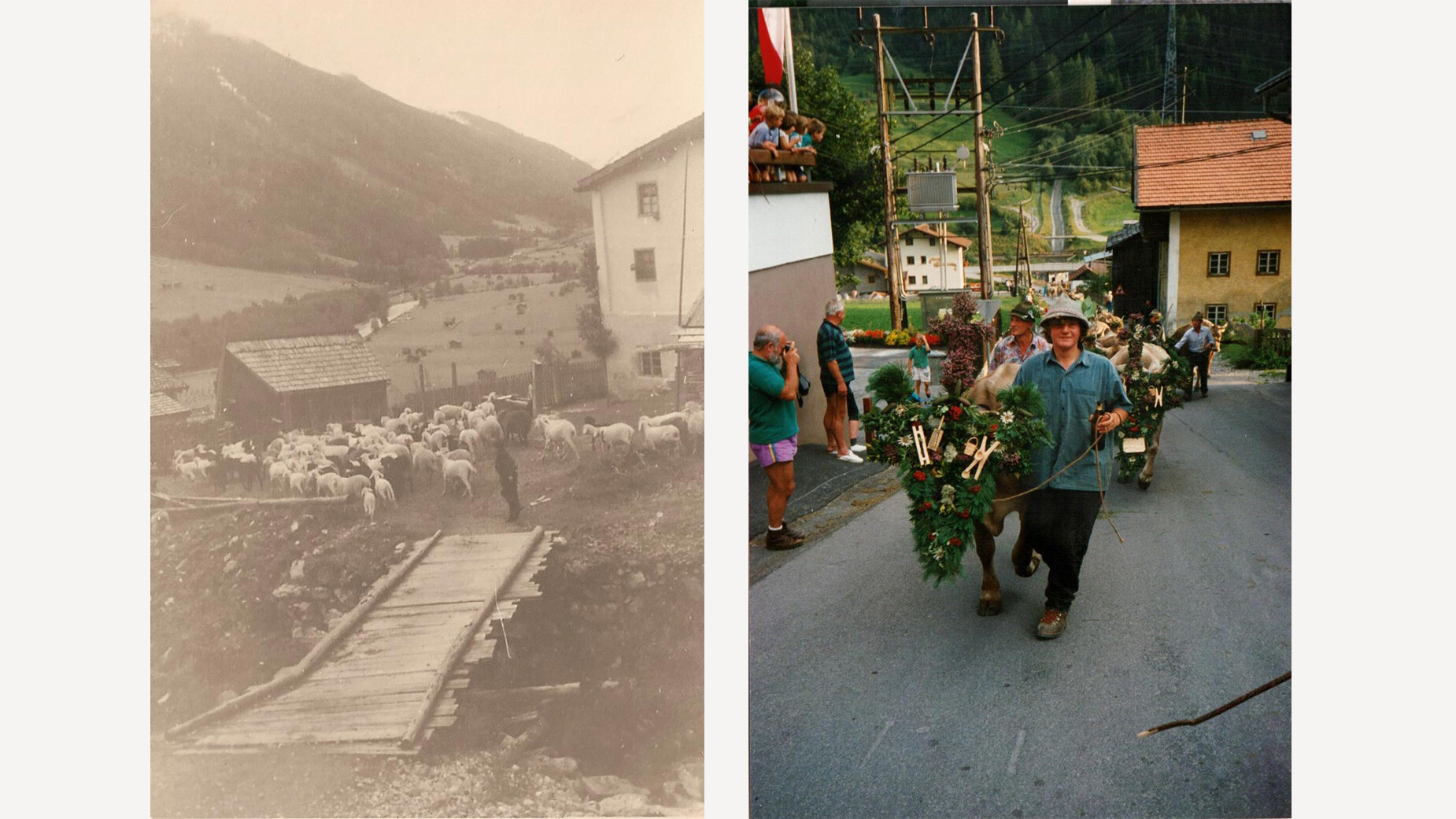 Kombibild aus historischem und modernem Almabtrieb mit geschmückten Tieren durch das Dorf / Split image of historical and modern cattle drive with decorated animals in village streets
