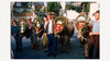 Farbfoto von festlich geschmückten Kühen und Bauern beim Almabtrieb durch ein Dorf / Color photo of traditionally decorated cows and farmers during cattle drive through a village