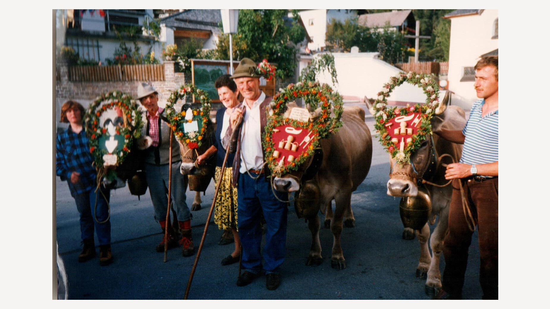 Farbfoto von festlich geschmückten Kühen und Bauern beim Almabtrieb durch ein Dorf / Color photo of traditionally decorated cows and farmers during cattle drive through a village