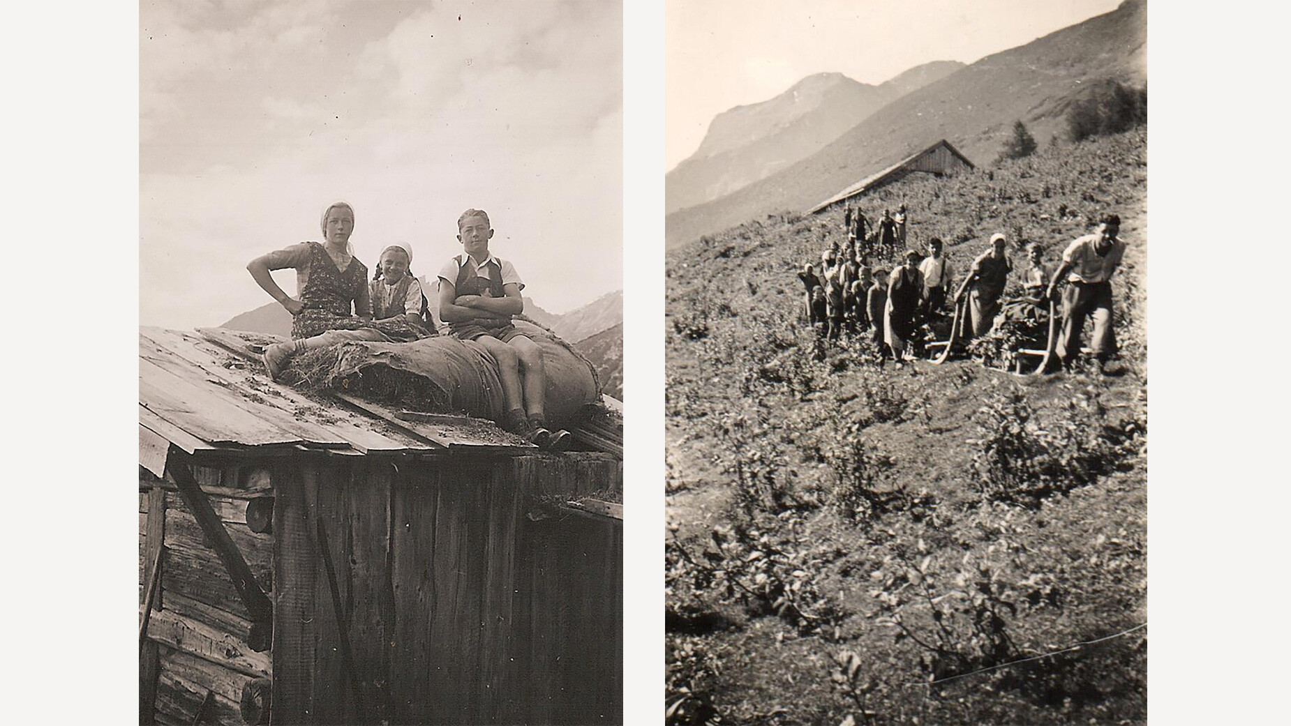 Almleben mit Kindern und Heuernte / Alpine life with children and hay harvest Zweigeteiltes Bild mit Kindern auf Hütte und Bäuerinnen bei der Heuernte am Hang / Split image showing children on a hut and women harvesting hay on a slope