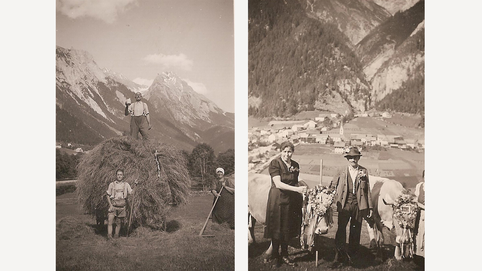 Zweifaches historisches Almfoto mit Heutransport durch Kühe und Bauern bei der Rückkehr vom Feld / Twin historical alpine photo with hay transport by cows and farmers returning from the fields