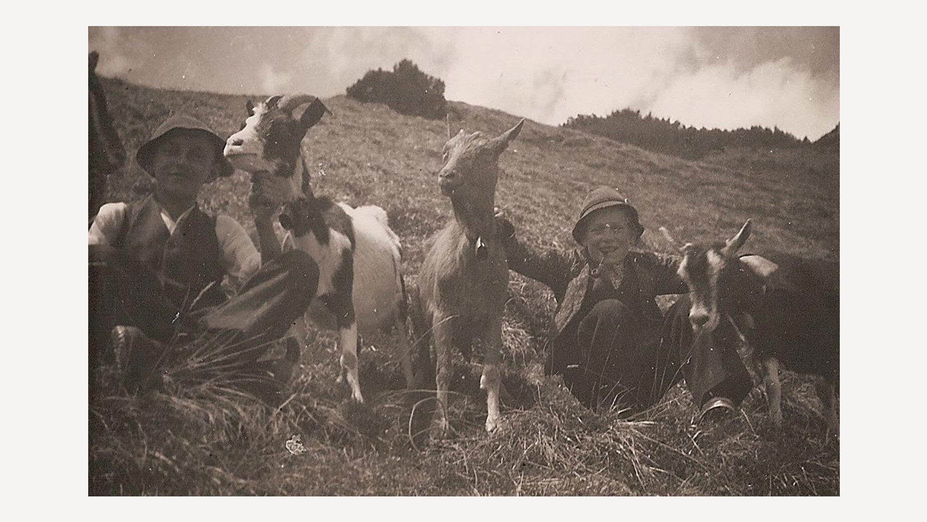 Historisches Foto mit Bäuerinnen und Kühen auf einer Almwiese in den Alpen / Historical photo of women farmers and cows on an alpine meadow