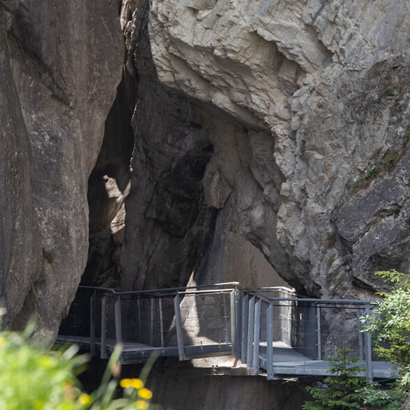 A metal footbridge with railings leads through the narrow Schnanner Gorge. Some yellow flowers grow in the foreground. 