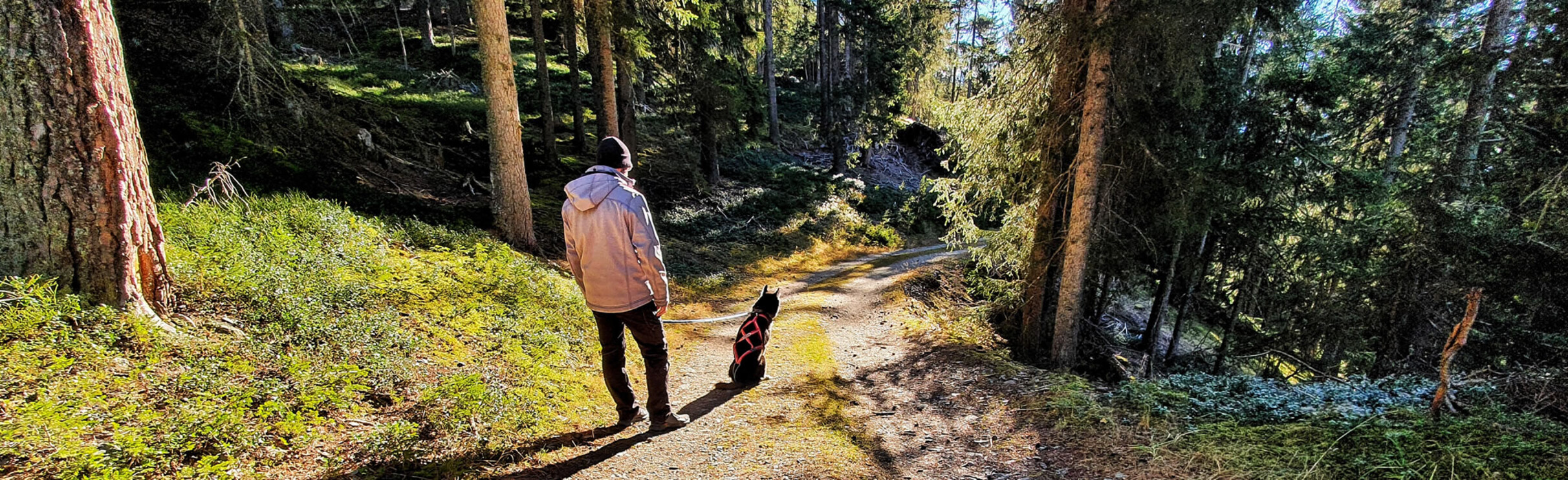Hike with the huskies
